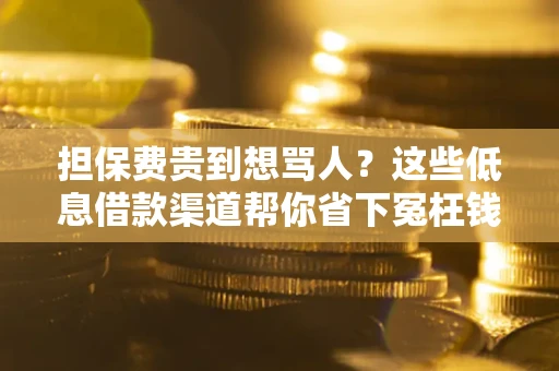 济南担保费贵到想骂人？这些低息借款渠道帮你省下冤枉钱