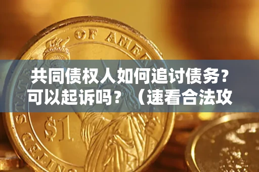 济南共同债权人如何追讨债务？可以起诉吗？（速看合法攻略）